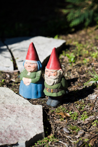 Gnomes